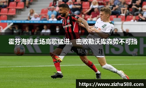 霍芬海姆主场高歌猛进，击败勒沃库森势不可挡