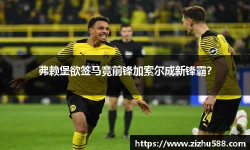 弗赖堡欲签马竞前锋加索尔成新锋霸？