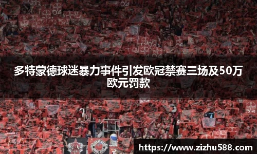 多特蒙德球迷暴力事件引发欧冠禁赛三场及50万欧元罚款