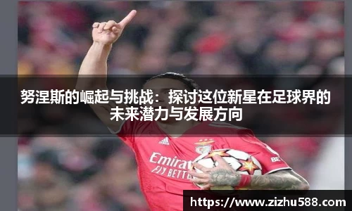 努涅斯的崛起与挑战：探讨这位新星在足球界的未来潜力与发展方向